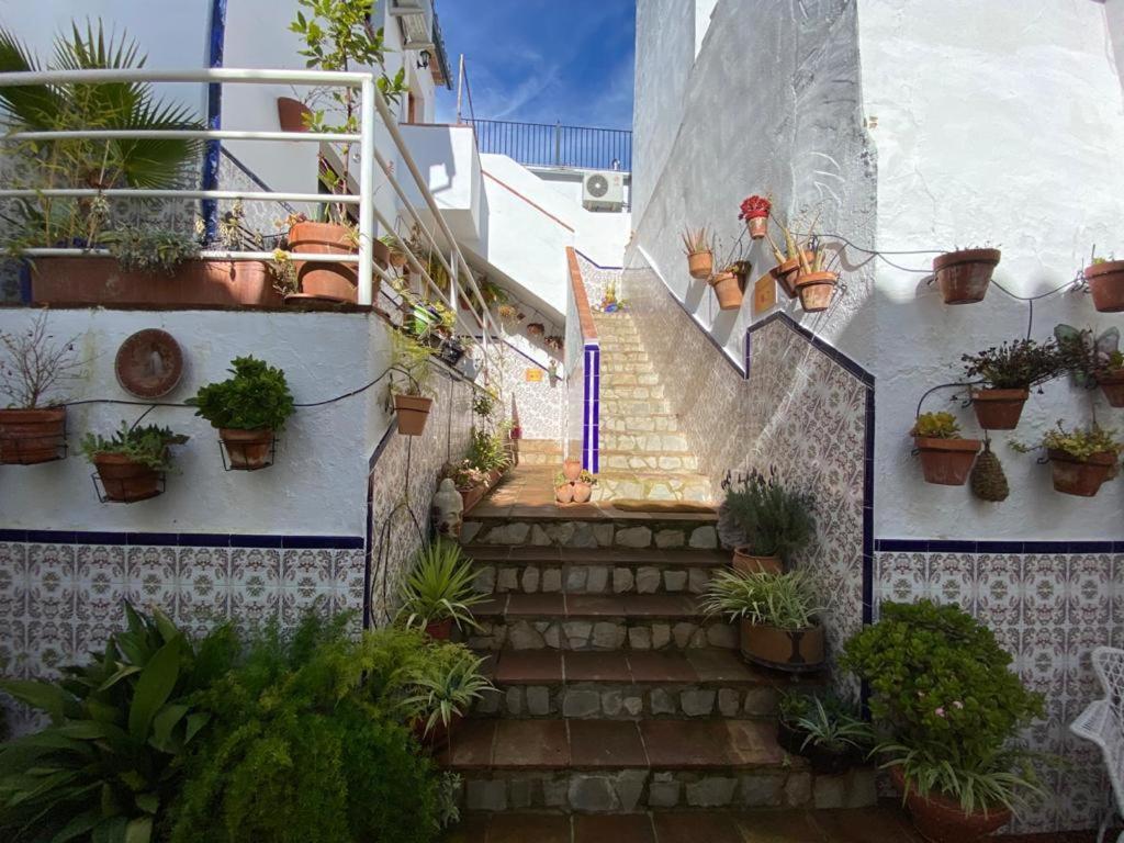 Apartment Buddhalounge Ronda